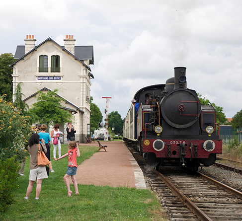 Train à Vapeur